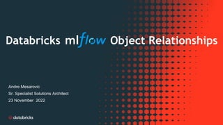 Andre Mesarovic
Sr. Specialist Solutions Architect
23 November 2022
Object Relationships
Databricks
 