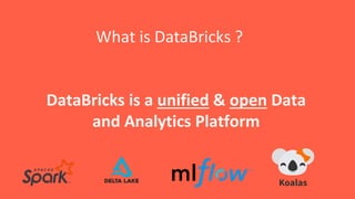 Databricks Platform.pptx