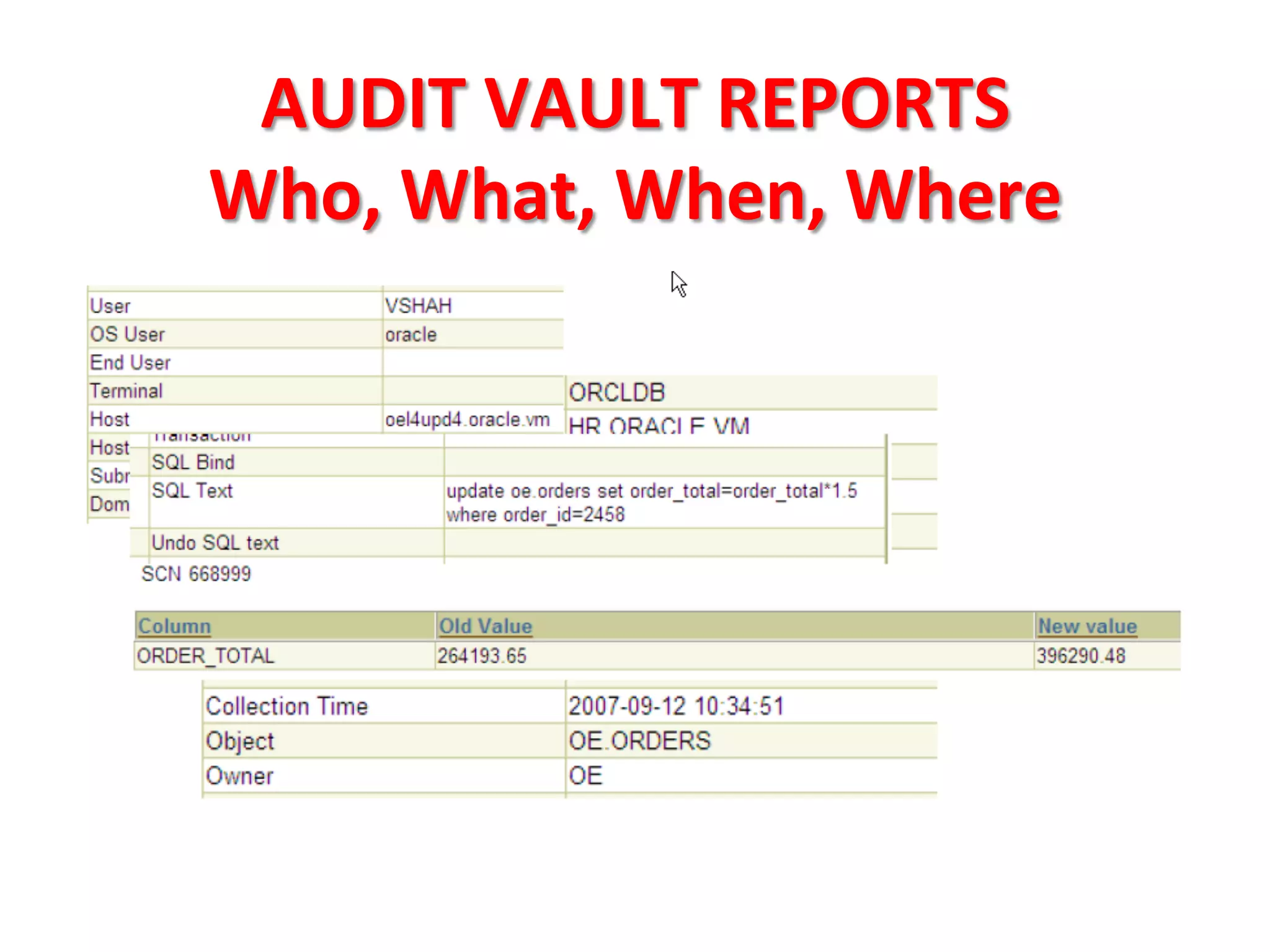 AUDIT	
  VAULT	
  REPORTS	
  
Who,	
  What,	
  When,	
  Where	
  	
  
 