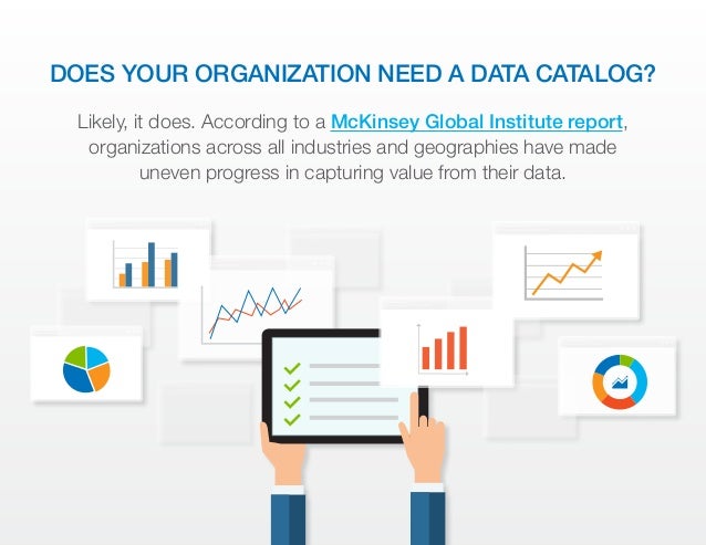 A Comprehensive Guide to the Data Catalog