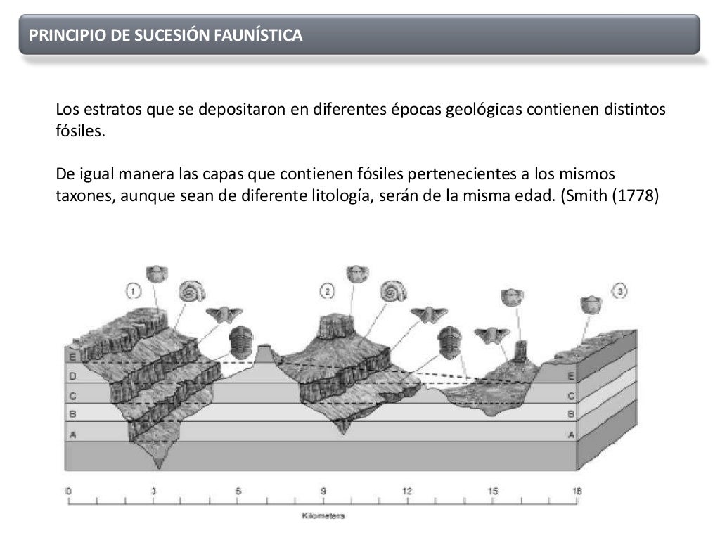 Dataciónes en geología. Datación relativa y absoluta.