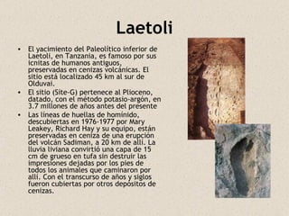 Laetoli El yacimiento del Paleolítico inferior de Laetoli, en Tanzania, es famoso por sus icnitas de humanos antiguos, preservadas en cenizas volcánicas. El sitio está localizado 45 km al sur de Olduvai. El sitio (Site-G) pertenece al Plioceno, datado, con el método potasio-argón, en 3.7 millones de años antes del presente Las líneas de huellas de homínido, descubiertas en 1976-1977 por Mary Leakey, Richard Hay y su equipo, están preservadas en ceniza de una erupción del volcán Sadiman, a 20 km de allí. La lluvia liviana convirtió una capa de 15 cm de grueso en tufa sin destruir las impresiones dejadas por los pies de todos los animales que caminaron por allí. Con el transcurso de años y siglos fueron cubiertas por otros depósitos de cenizas.  