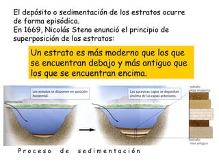 Un estrato es más moderno que los que se encuentran debajo y más antiguo que los que se encuentran encima. El depósito o s...
