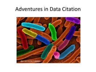 Adventures in Data Citation




  doi:10.5524/100001
 