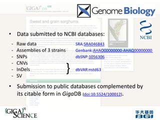 • Data submitted to NCBI databases:
-   Raw data                      SRA:SRA046843
-   Assemblies of 3 strains       Genbank:AHAO00000000-AHAQ00000000
-   SNPs                          dbSNP:1056306
-   CNVs
-
-
    InDels
    SV
                              }   dbVAR:nstd63


• Submission to public databases complemented by
  its citable form in GigaDB (doi:10.5524/100012).
 