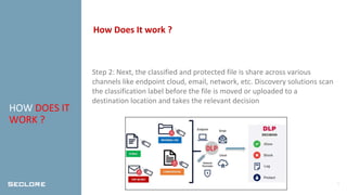 Data Classification Protection | Seclore