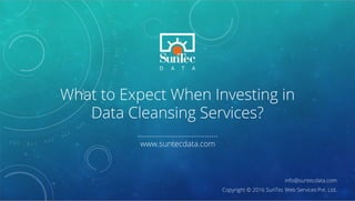 What to Expect When Investing in Data Cleansing Services?