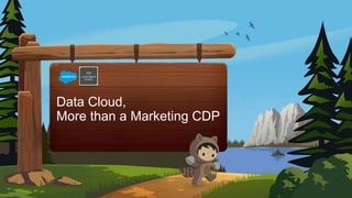 Data Cloud,
More than a Marketing CDP
 