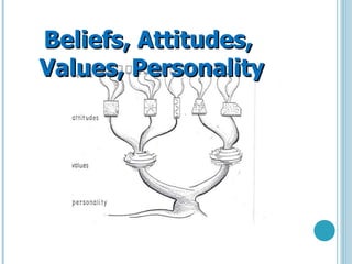 Beliefs, Attitudes, Values, Personality 