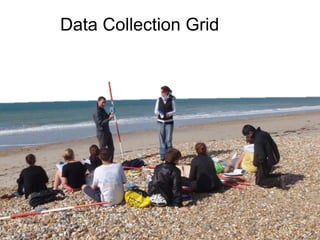 Data Collection Grid
 