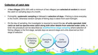 27
Collection of catch data
• A few villages (25%-30% with a minimum of two villages) are selected at random to record
the catch on sampling days of a month.
• Fortnightly, systematic sampling is followed in selection of days, if fishing is done everyday
in the month; otherwise random sample of fishing days is taken from each fortnight.
• On the day of sampling, the investigator is required to record the no. of units operated, total
catch as well as species-wise catch along with other details from selected water units. In
brief, this procedure can be described as stratified three stage sampling where selection of
fishing villages is the first stage, sample days as second stage and units observed as third
stage of selection
Units
observed
Sampling
days
Selection
of fishing
village
1 2 3
 
