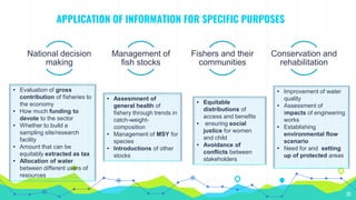 APPLICATION OF INFORMATION FOR SPECIFIC PURPOSES
National decision
making
Management of
fish stocks
Fishers and their
communities
Conservation and
rehabilitation
35
• Evaluation of gross
contribution of fisheries to
the economy
• How much funding to
devote to the sector
• Whether to build a
sampling site/research
facility
• Amount that can be
equitably extracted as tax
• Allocation of water
between different users of
resources
• Assesmnent of
general health of
fishery through trends in
catch-weight-
composition
• Management of MSY for
species
• Introductions of other
stocks
• Equitable
distributions of
access and benefits
• ensuring social
justice for women
and child
• Avoidance of
conflicts between
stakeholders
• Improvement of water
quality
• Assessment of
impacts of engineering
works
• Establishing
environmental flow
scenario
• Need for and setting
up of protected areas
 