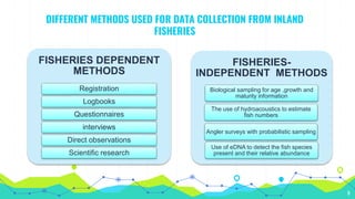 DIFFERENT METHODS USED FOR DATA COLLECTION FROM INLAND
FISHERIES
FISHERIES-
INDEPENDENT METHODS
Biological sampling for age ,growth and
maturity information
Angler surveys with probabilistic sampling
The use of hydroacoustics to estimate
fish numbers
Use of eDNA to detect the fish species
present and their relative abundance
FISHERIES DEPENDENT
METHODS
Registration
Logbooks
Questionnaires
interviews
Direct observations
Scientific research
8
 