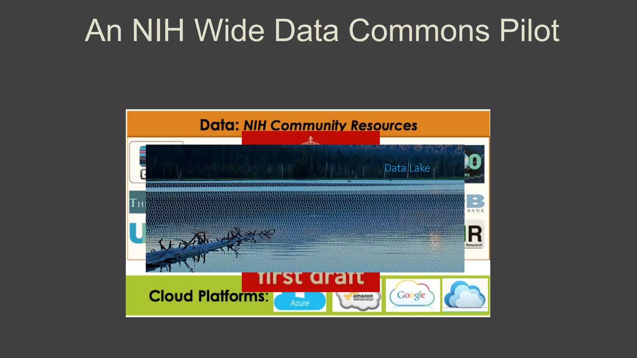 An NIH Wide Data Commons Pilot
Data Lake
 