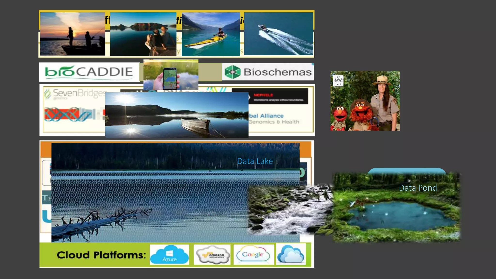 Indexing
Data Lake
New large data
projects
Messy data
Data Pond
 