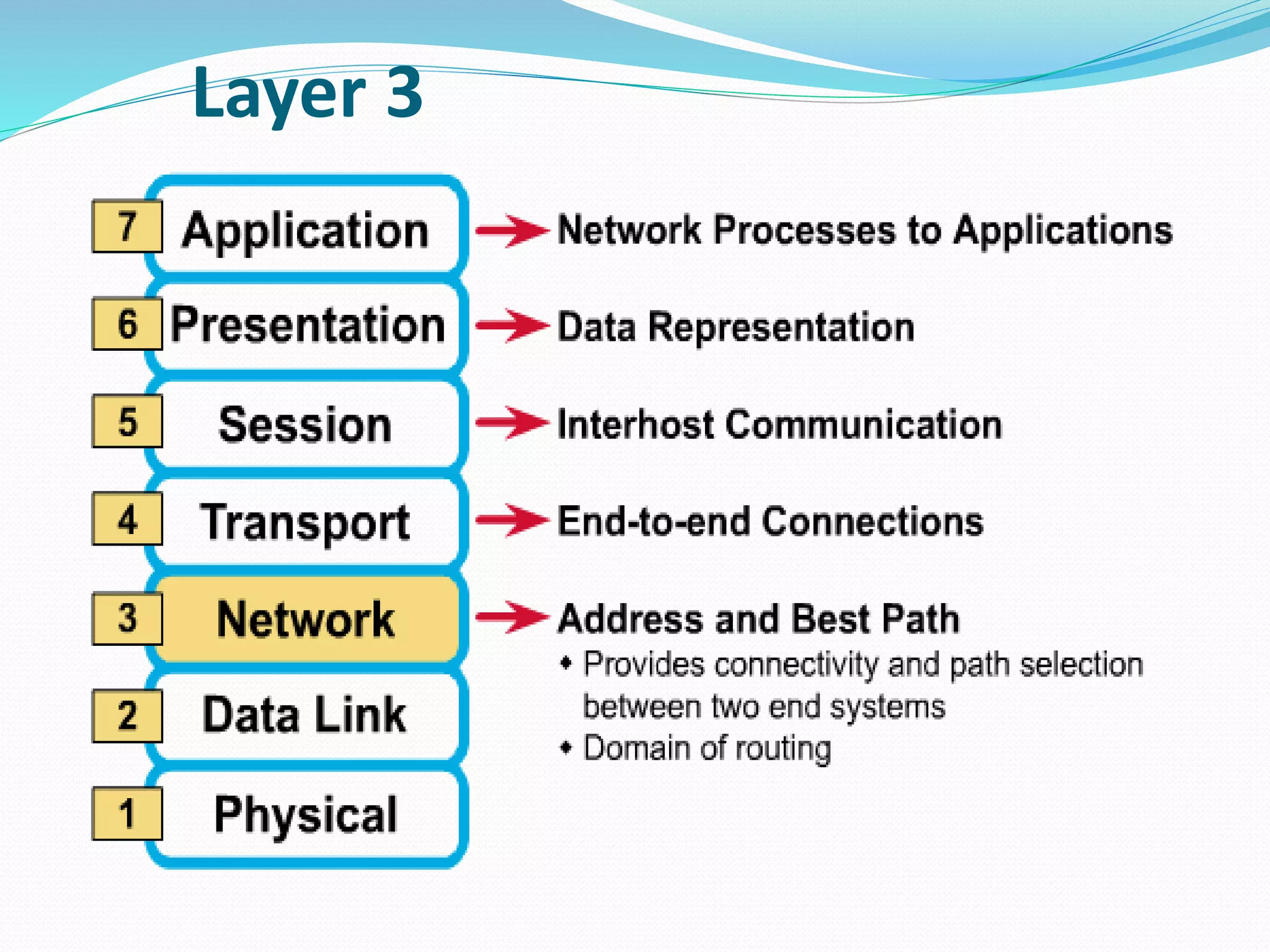 Layer 3
 