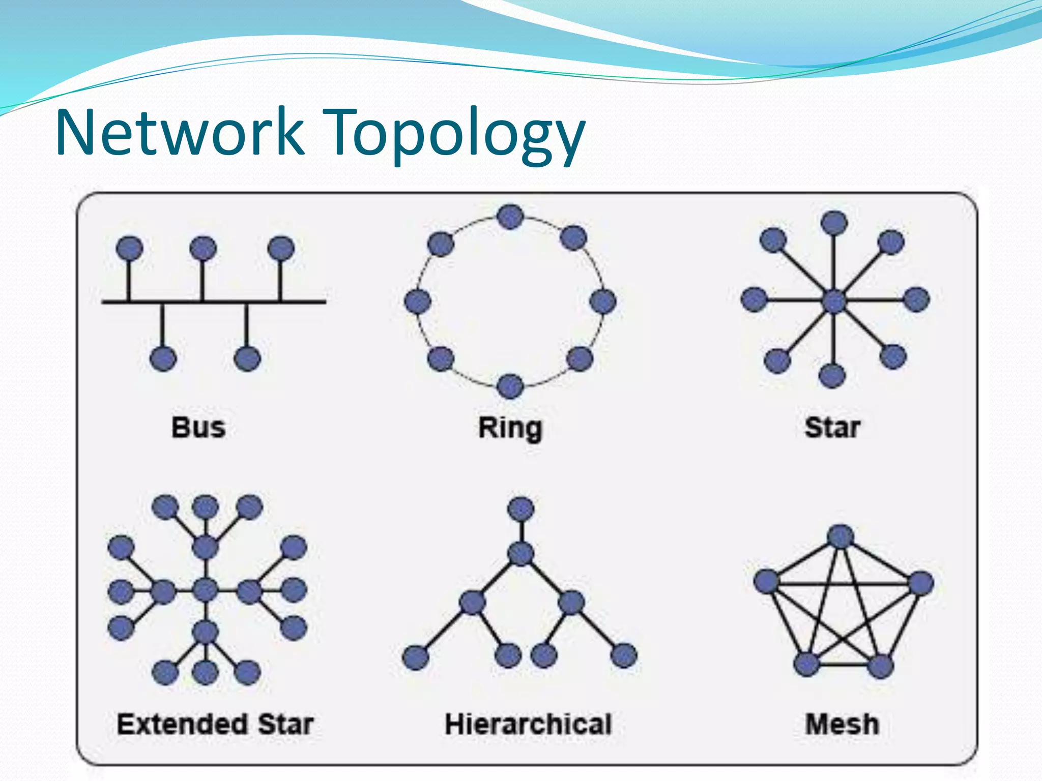 Network Topology
 