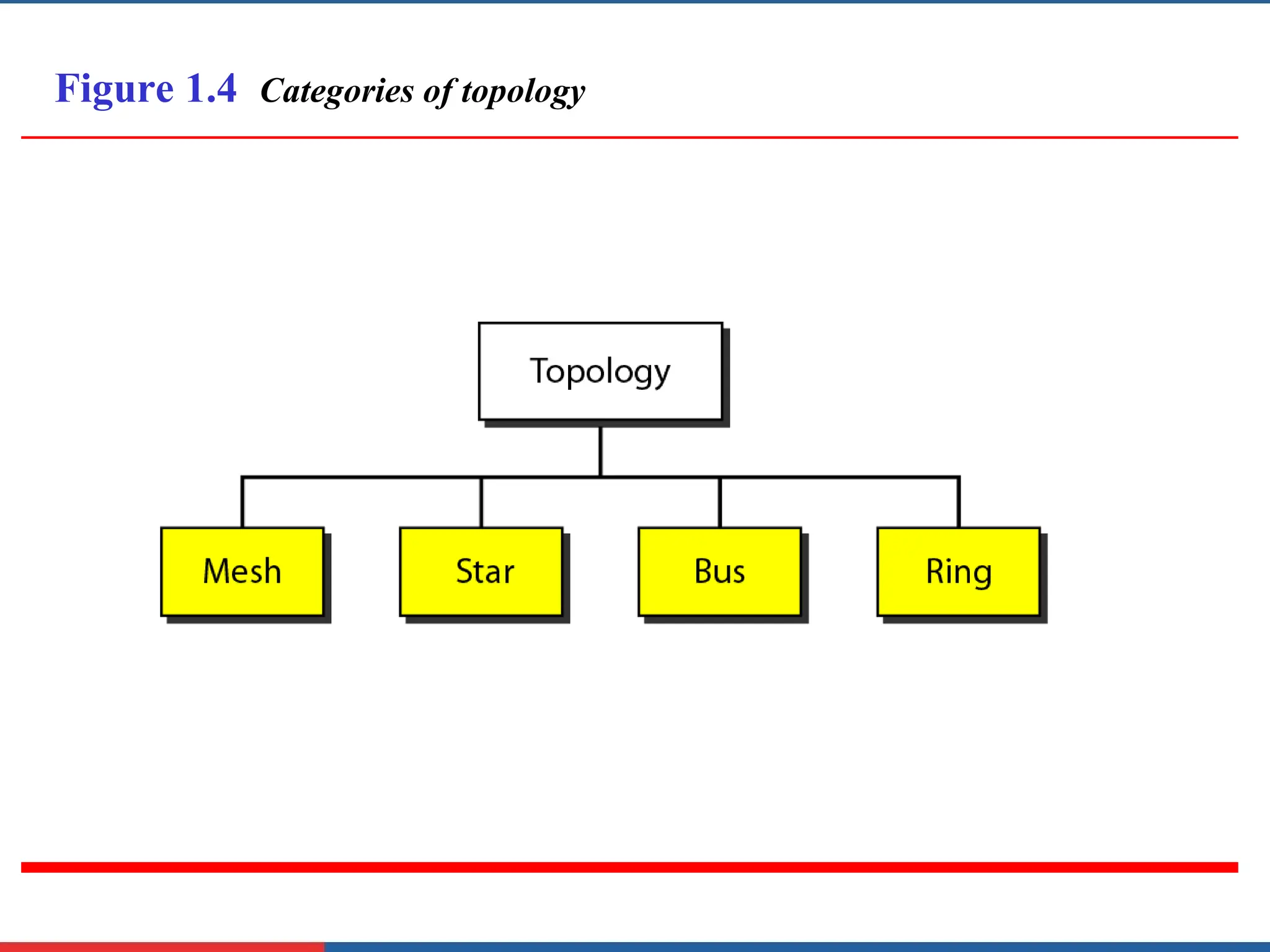 Figure 1.4 Categories of topology
 