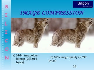 36
S
I
L
I
C
O
N
IMAGE COMPRESSION
a) 24-bit true colour
bitmap (253,014
bytes)
b) 60% image quality (5,599
bytes)
 