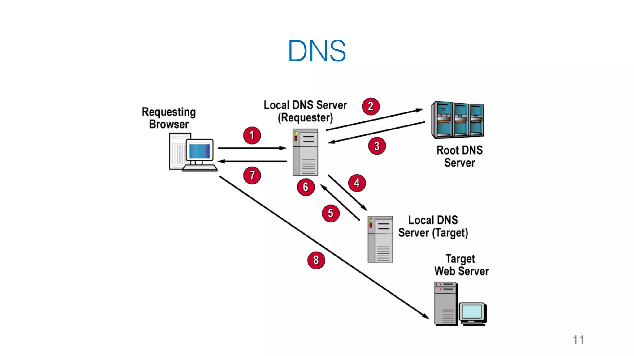 DNS 11 