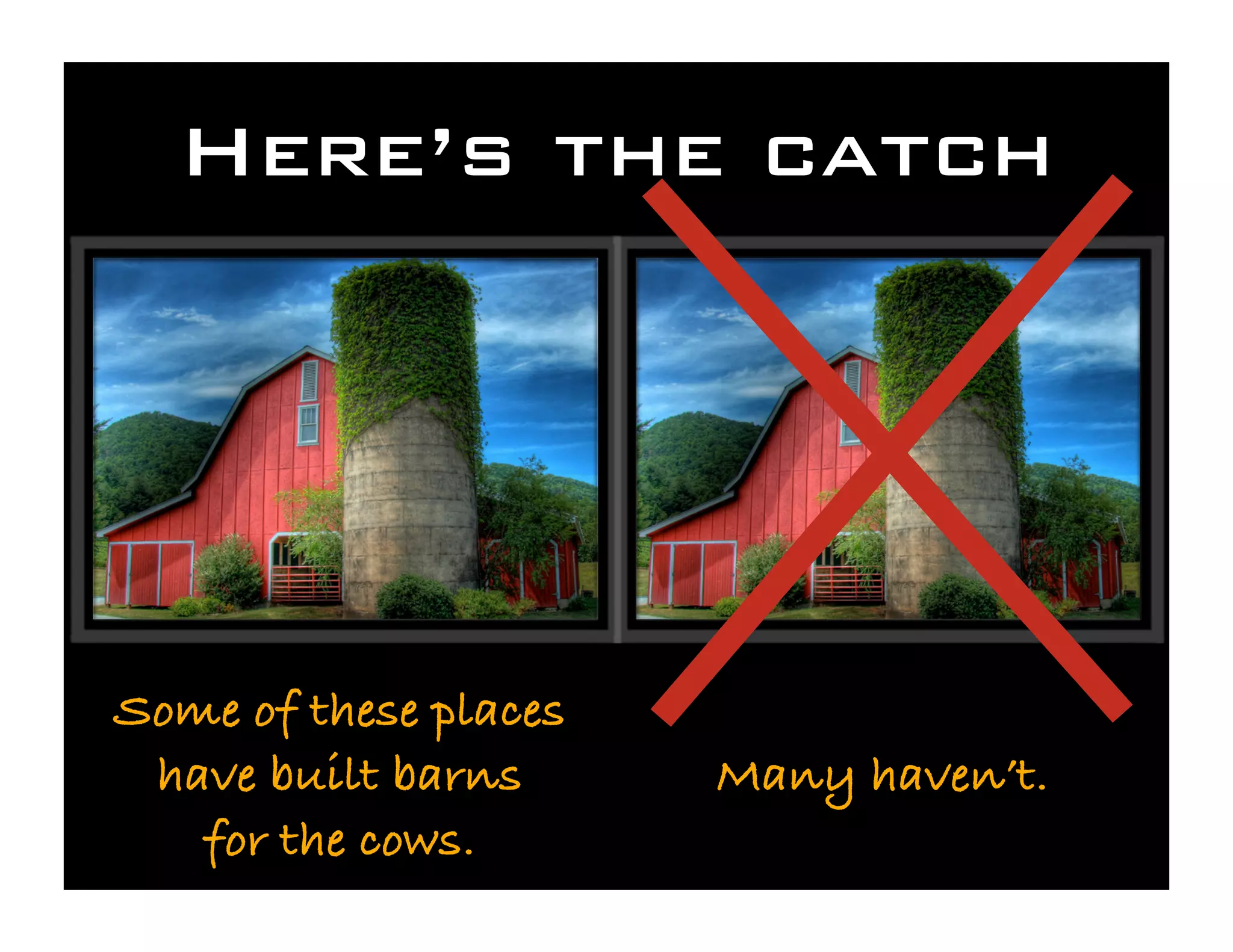 Save the Cows! Cyberinfrastructure for the Rest of Us