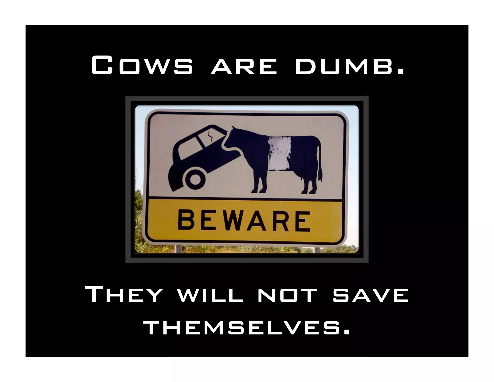 Save the Cows! Cyberinfrastructure for the Rest of Us