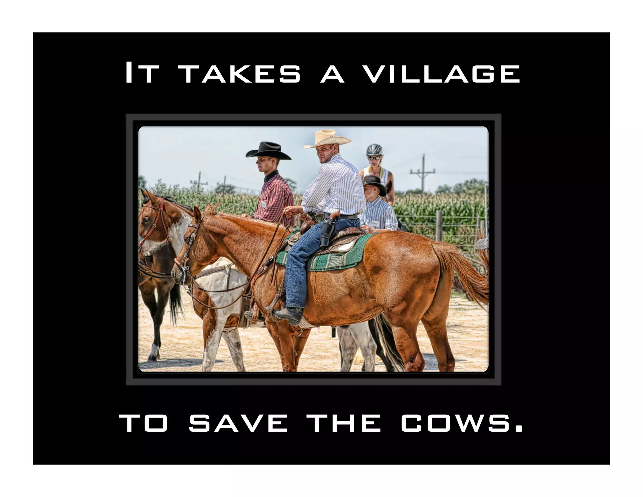 Save the Cows! Cyberinfrastructure for the Rest of Us