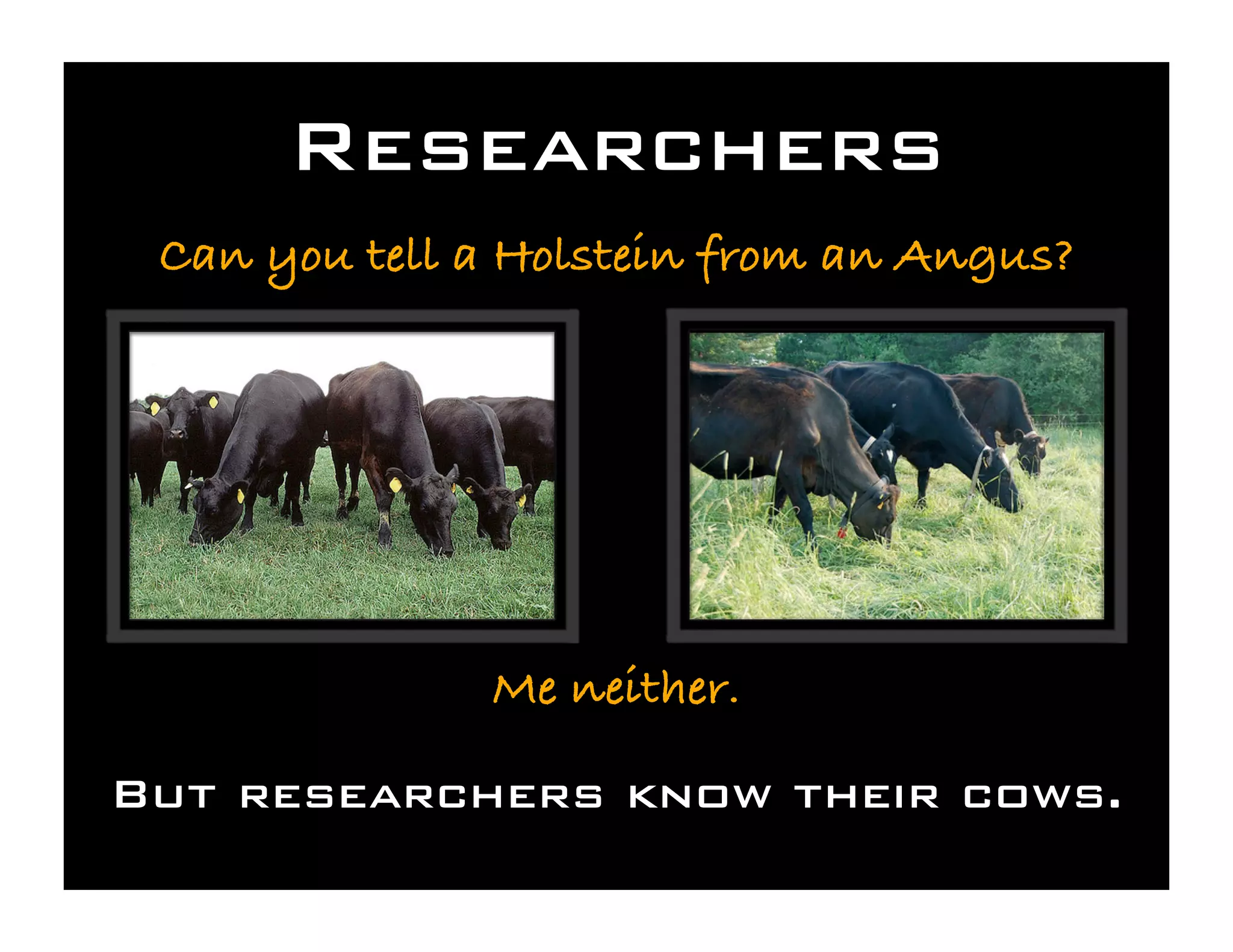 Save the Cows! Cyberinfrastructure for the Rest of Us