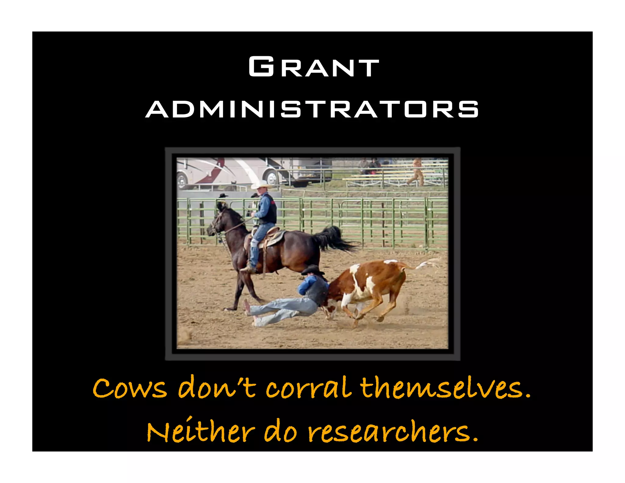 Save the Cows! Cyberinfrastructure for the Rest of Us