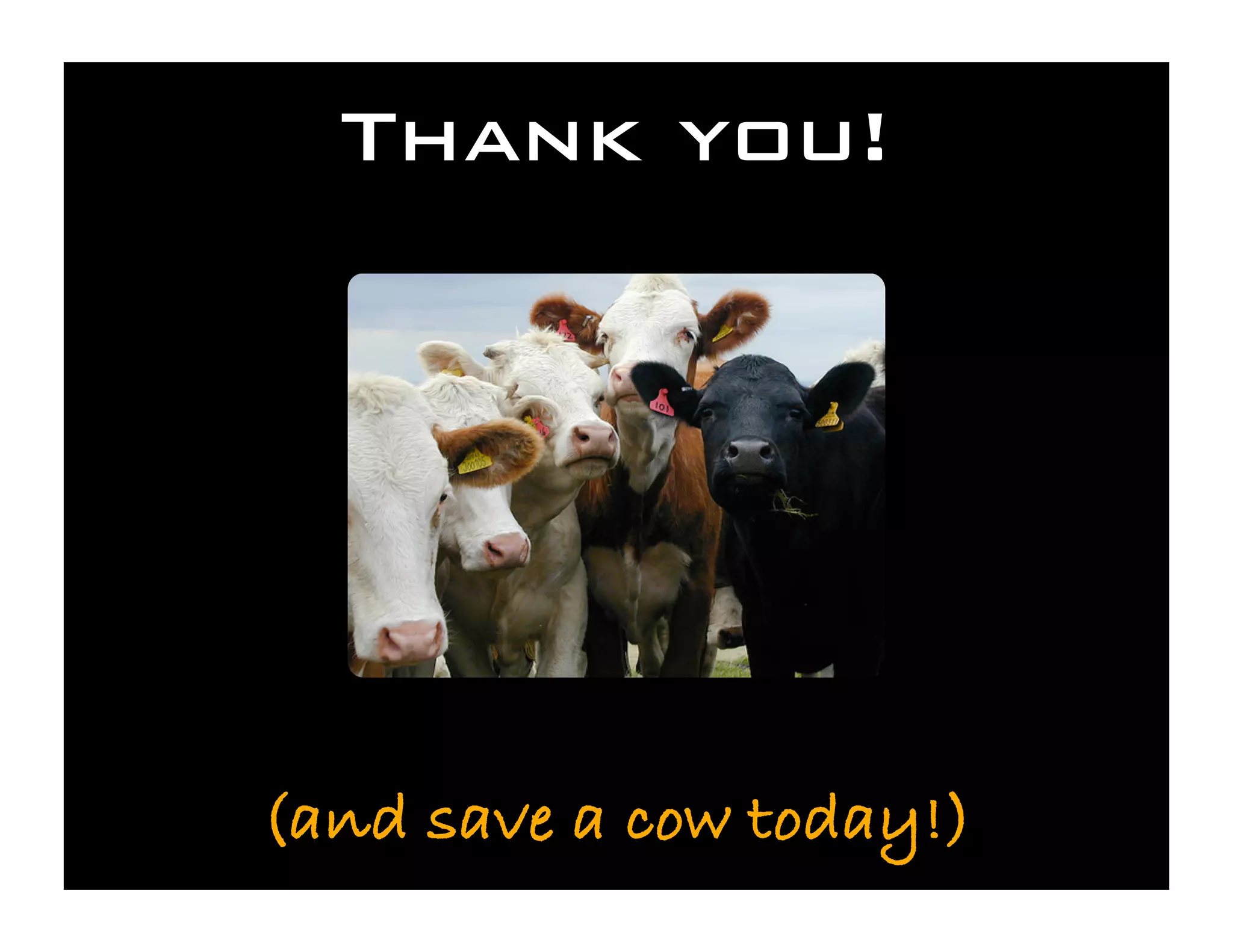 Save the Cows! Cyberinfrastructure for the Rest of Us