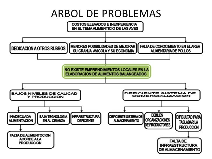 Data del proyecto de pollos Data del proyecto de pollos