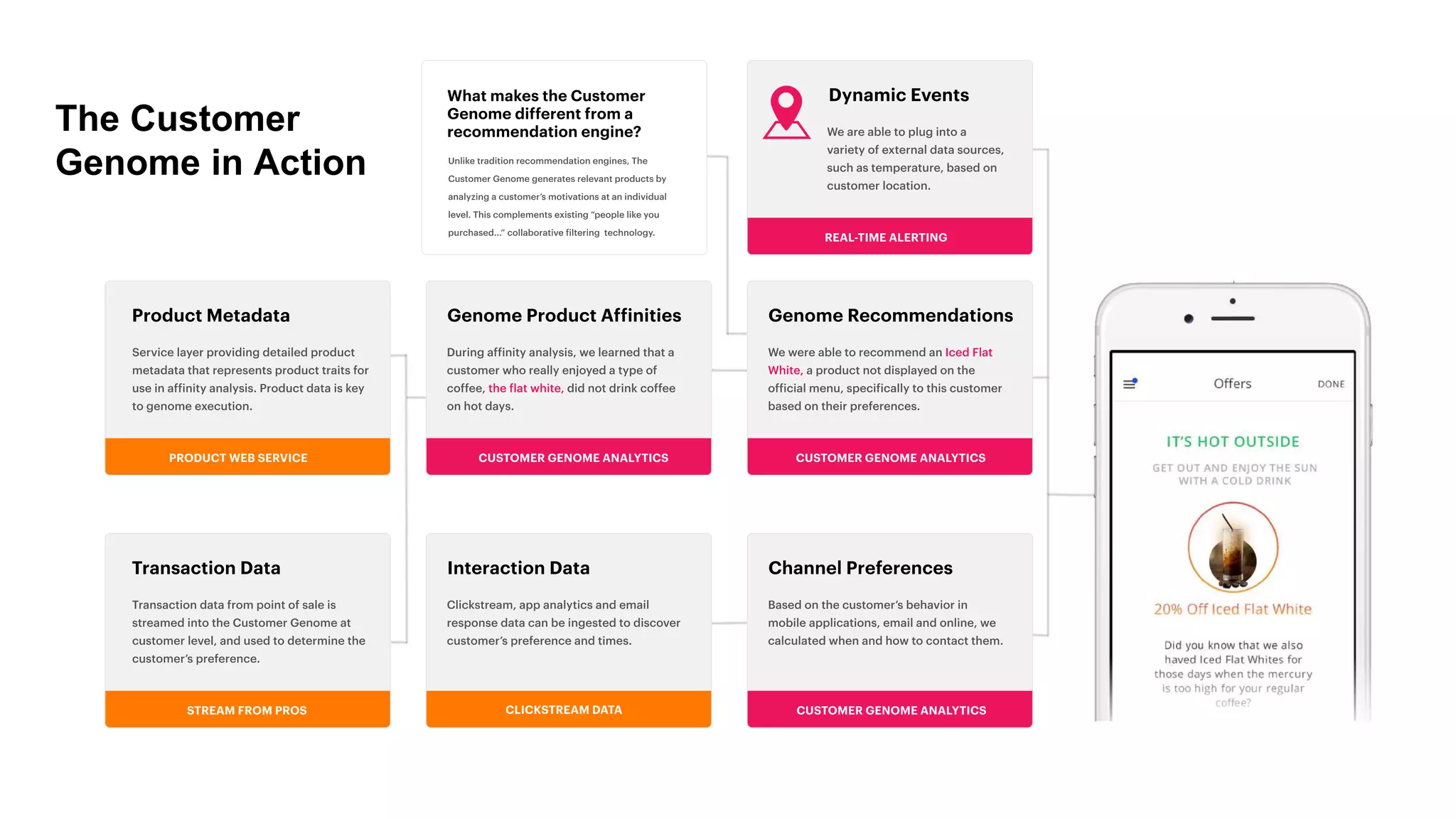The Customer
Genome in Action
 