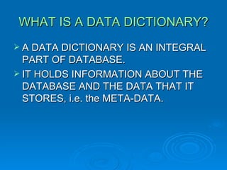 WHAT IS A DATA DICTIONARY? ,[object Object],[object Object]