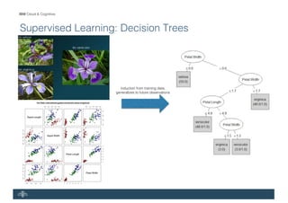 IBM Cloud & Cognitive
Supervised Learning: Decision Trees
induction from training data,
generalizes to future observations
 