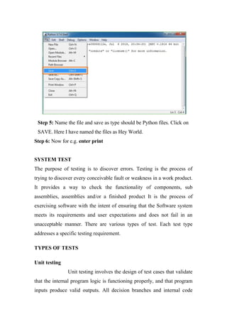 DATA DRIVEN DIGITAL TWINES project in python | DOCX