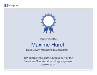 Data Driven Marketing [Curriculum]
April 04, 2015
Maxime Hurel
 