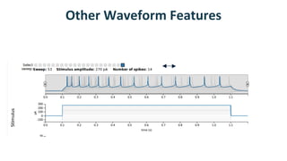 Data driven model optimization [autosaved] | PDF