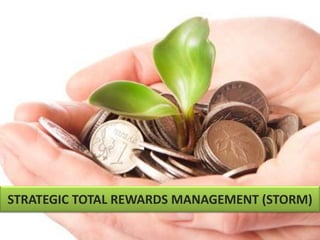 STRATEGIC TOTAL REWARDS MANAGEMENT (STORM)
 