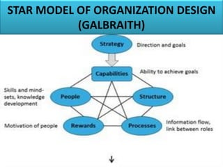 STAR MODEL OF ORGANIZATION DESIGN
(GALBRAITH)
 