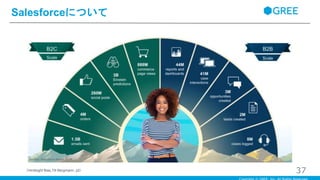 Salesforceについて
37（Hindsight Bias,Till Bergmann, p2）
 