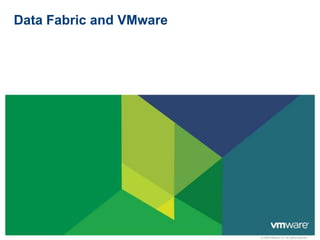 Data Fabric and VMware 