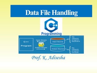 DataFileHandling
Prof. K. Adisesha
 