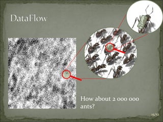 D
                  at a
How about 2 000 000
ants?
                           15/52
 
