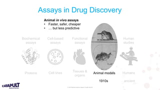 © 2019 Medicines Discovery Catapult. All rights reserved.
Assays in Drug Discovery
Biochemical
assays
Cell-based
assays
Functional
assays
In vivo
assays
Human
studies
Proteins Cell lines Tissues &
organs
Animal models Humans
1910s ancient
Animal in vivo assays
• Faster, safer, cheaper
• … but less predictive
 