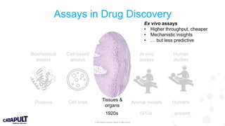 © 2019 Medicines Discovery Catapult. All rights reserved.
Assays in Drug Discovery
Biochemical
assays
Cell-based
assays
Functional
assays
In vivo
assays
Human
studies
Proteins Cell lines Tissues &
organs
Animal models Humans
1920s 1910s ancient
Ex vivo assays
• Higher throughput, cheaper
• Mechanistic insights
• … but less predictive
 
