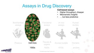 © 2019 Medicines Discovery Catapult. All rights reserved.
Assays in Drug Discovery
Biochemical
assays
Cell-based
assays
Functional
assays
In vivo
assays
Human
studies
Proteins Cell lines Tissues &
organs
Animal models Humans
1950s 1920s 1910s ancient
Cell-based assays
• Higher throughput, cheaper
• Mechanistic insights
• … but less predictive
 