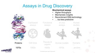 © 2019 Medicines Discovery Catapult. All rights reserved.
Assays in Drug Discovery
Biochemical
assays
Cell-based
assays
Functional
assays
In vivo
assays
Human
studies
Proteins Cell lines Tissues &
organs
Animal models Humans
1970s 1950s 1920s 1910s ancient
Biochemical assays
• Higher throughput
• Mechanistic insights
• Recombinant DNA technology
• … but less predictive
 