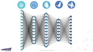 © 2019 Medicines Discovery Catapult. All rights reserved.
 