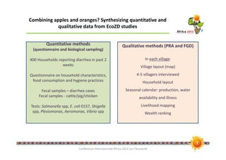 Combining apples and oranges? synthesizing quantitative and qualitative data from EcoZD studies