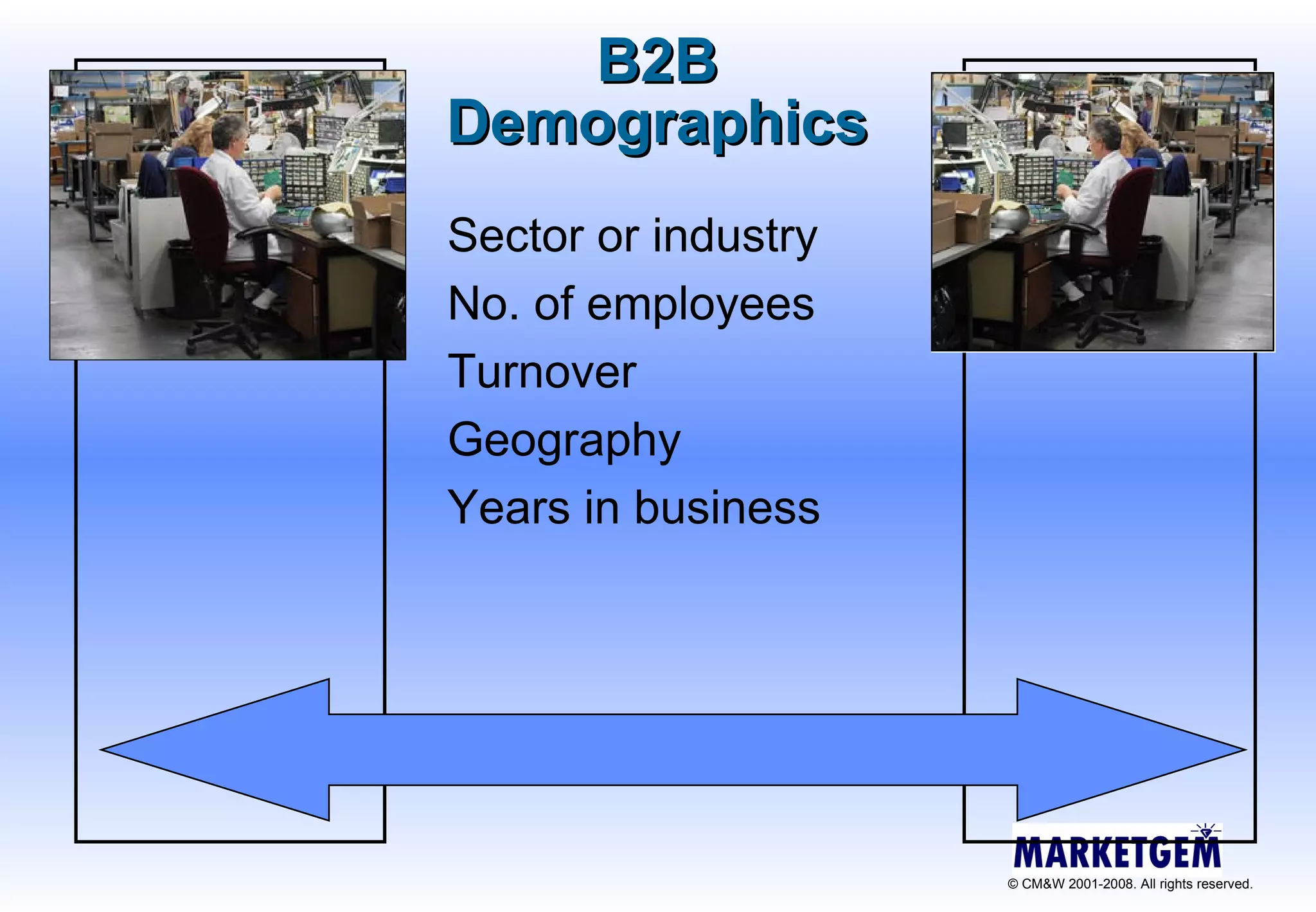 B2B Demographics Sector or industry No. of employees Turnover Geography Years in business 
